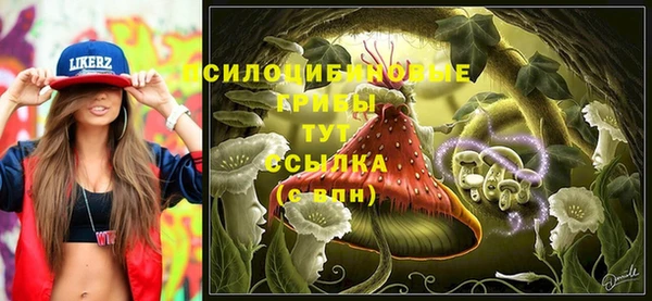 а пвп мука Каменка