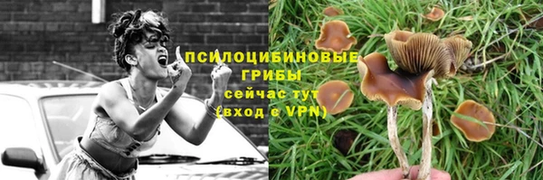гашишное масло Каменногорск