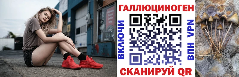 Псилоцибиновые грибы Cubensis  мега как войти  Александров 