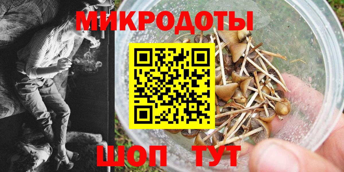Галлюциногенные грибы Psilocybe  Александров  Псилоцибиновые грибы MAGIC MUSHROOMS 