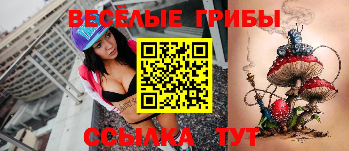 Галлюциногенные грибы Magic Shrooms  Галлюциногенные грибы Cubensis  Александров  Вход с VPN 