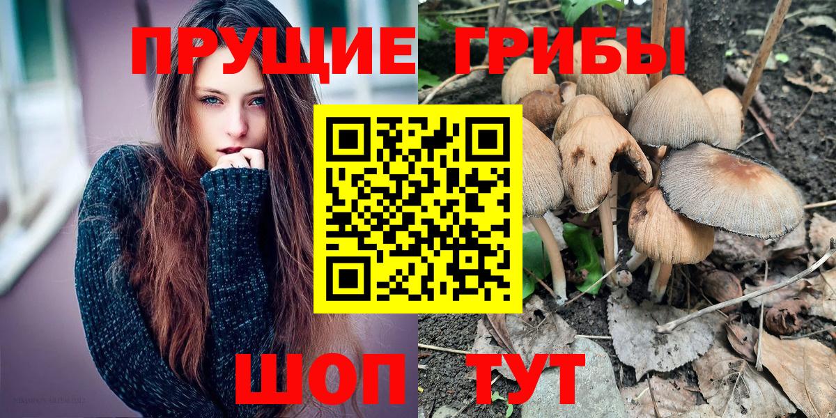Галлюциногенные грибы Psilocybine cubensis Александров