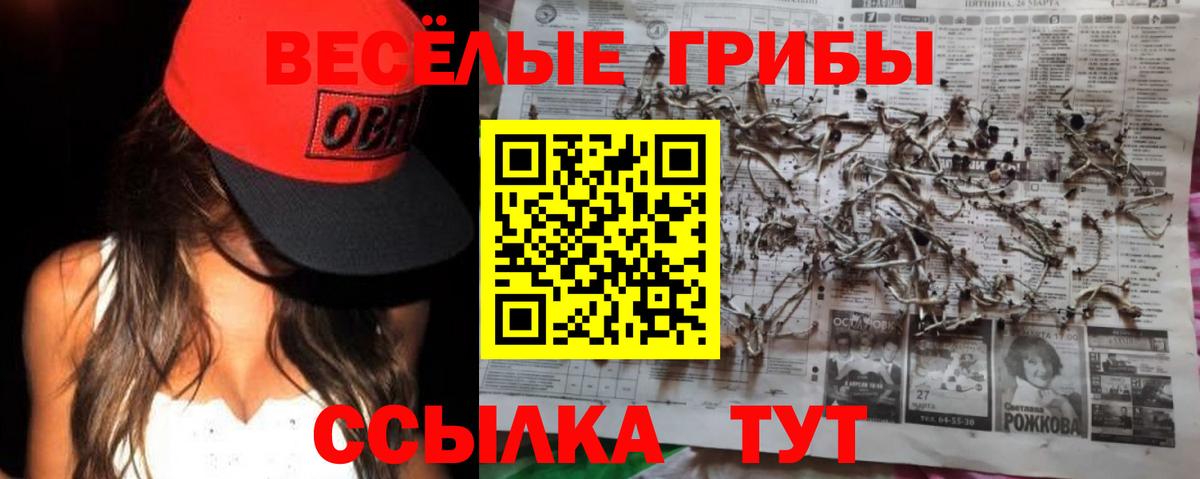 Cocaine  Гашиш  Амфетамин   Меф МЯУ МЯУ   Альфа ПВП СОЛЬ кристаллы  Александров  Бошки Шишки  Меф   МДМА 